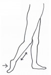 前脛骨筋　ストレッチ に対する画像結果